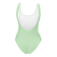 FLORIDA ECO ONE PIECE SWIMSUIT - MINT - PINKCOLADA