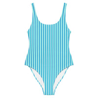 FLORIDA ECO ONE PIECE SWIMSUIT - BLUE STRIPES