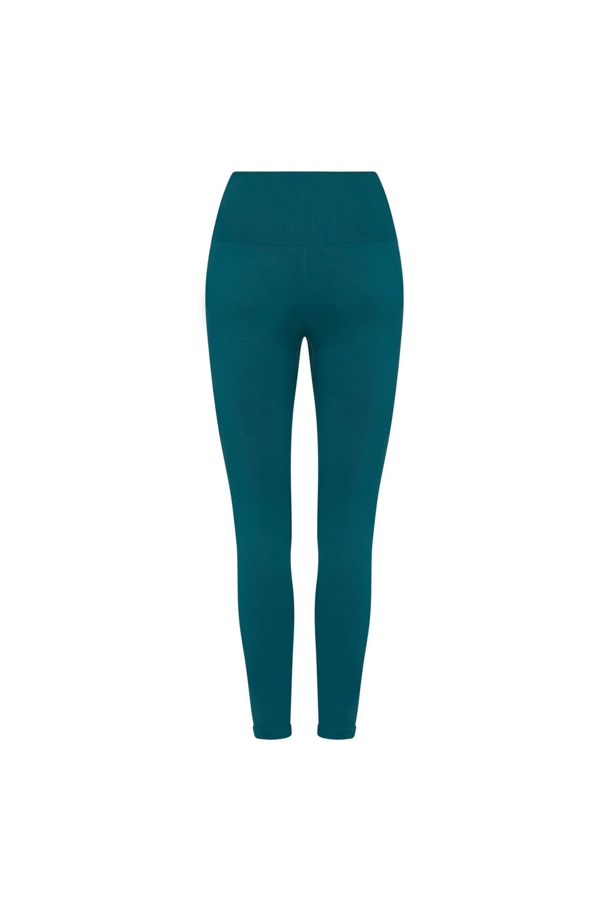 https://www.pinkcolada.com/cdn/shop/products/pinkflex-seamless-leggings-emerald-green-296691.jpg?v=1675628848&width=1200